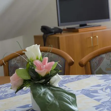 Zum Wikinger Hotel