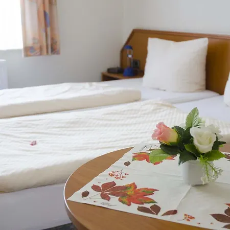 Hotel Zum Wikinger
