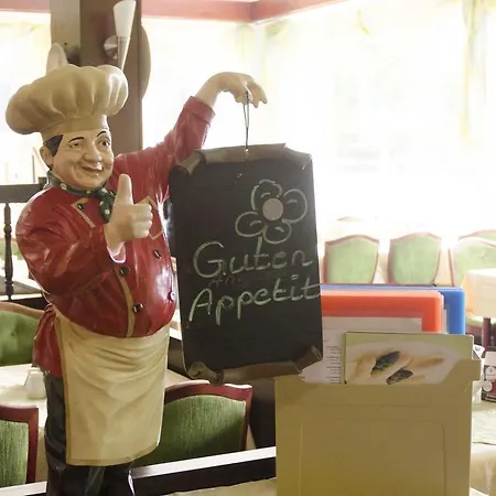 Zum Wikinger Hotel 3*